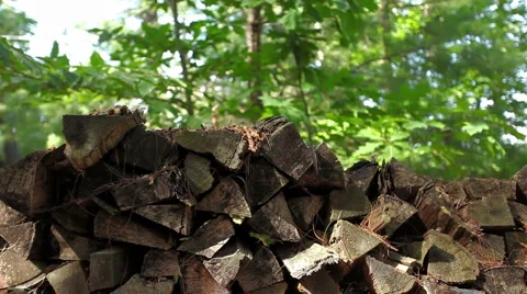 Woodpile_03 Stock Footage 956465