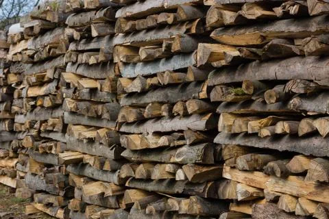 Woodpiles Stock Photos
