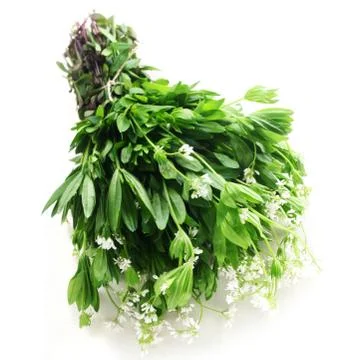 Woodruff Stock Photos