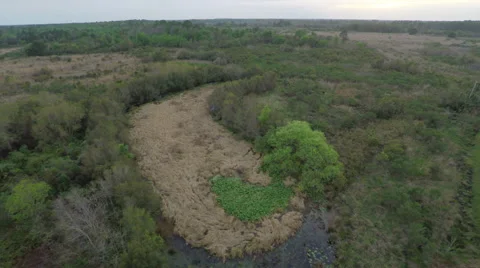 Woods Aerial Stock Footage 63434243