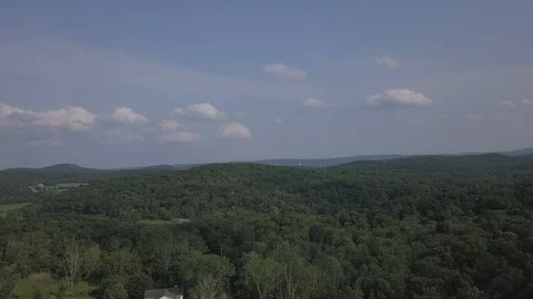 Woods Aerial Stock Footage 112667721