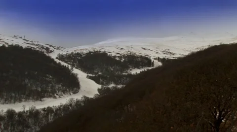 Woods Aerial view 库存影片 1044713