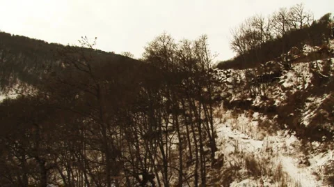 Woods Aerial view Stock Footage 1044853