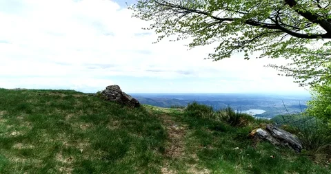 Woods aerial view Stock Footage 107324536