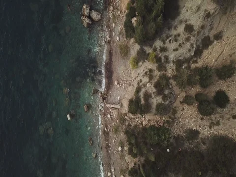 Woods and Beach Overhead 스톡 동영상 80692475