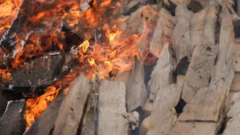 Woods are burning in the fire 2 Stock Footage 293995217