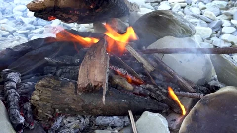 The woods are burning in the fire 4K Stock-Footage 159021960