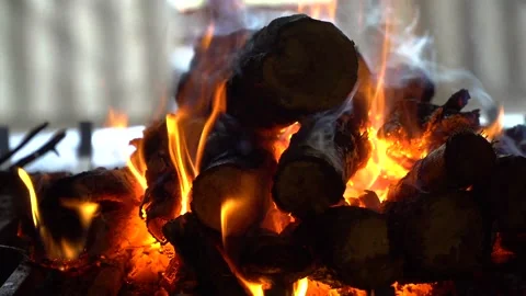 Woods on a barbecue burning lively Stock Footage 137041245