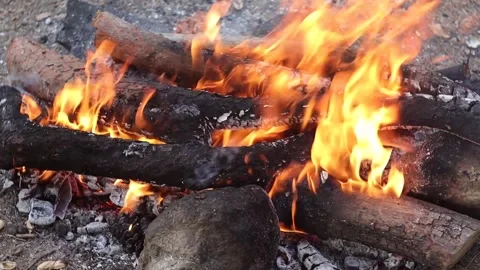 Woods Burning in Campfire Stock Footage 303514947