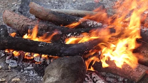 Woods Burning in Campfire (Slowmotion) Stock Footage 303515241