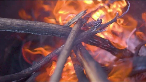 Woods burning in a fire pit Stock Footage 76139691