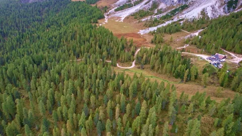 Woods of the Dolomites Stock Footage 220665418
