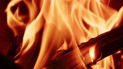 Woods fire Stock Footage 232335636