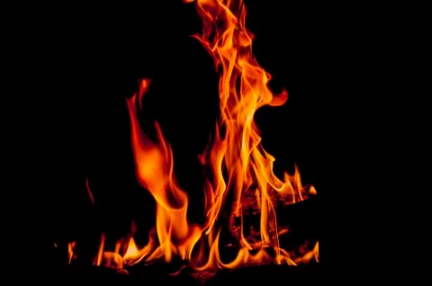 Woods in fire Stock Photos