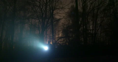 Woods-Flashlight Man-Walking-Distant-SloMo-4K-ProRes Stock Footage 228833165