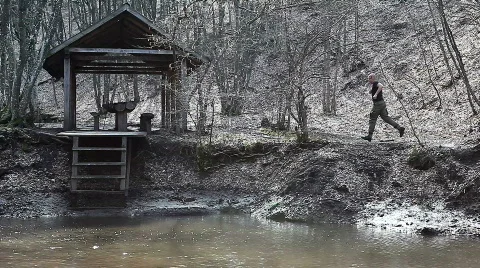 In the woods Stock Footage 650795