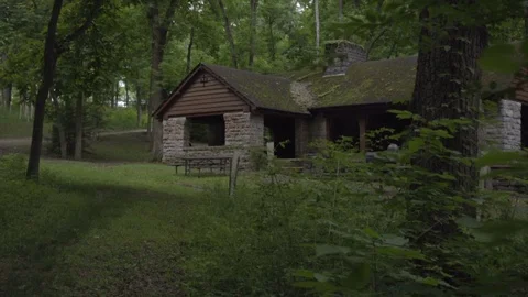 Into the woods Stock Footage 99134322