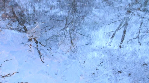 Woods Ice Reflection Video stock 24817360