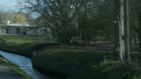 Woods Next To The River Video stock 234243374