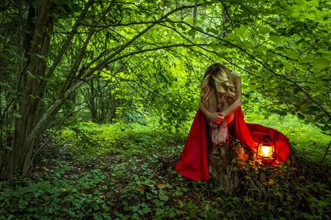 Into the woods Stock Photos