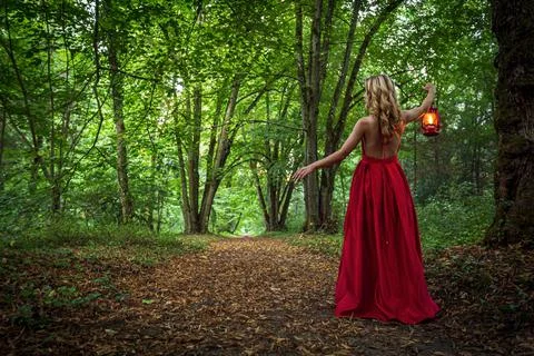 Into the woods Stock Photos