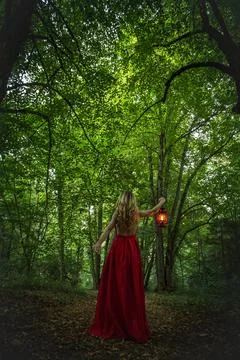 Into the woods Stock Photos