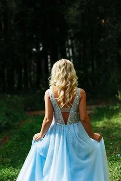 Into the Woods Stock Photos