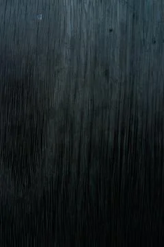 Woods 🗣️ 스톡 사진