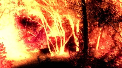 Woods POV zombie run short Stock Footage