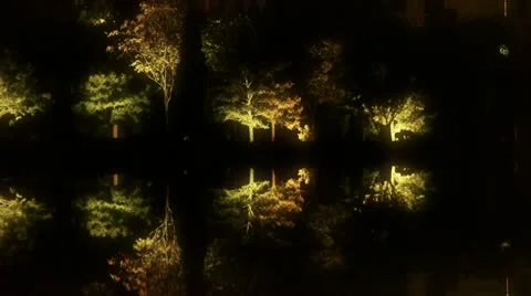 Woods reflection in calm water of lake.Such as mirror at dark evening night. Stock Footage