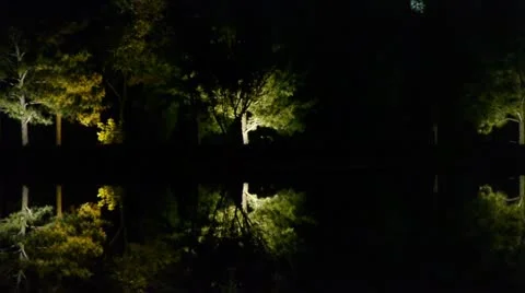 Woods reflection in calm water of lake.Such as mirror at dark evening night. Stock Footage
