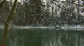 woods snowy river panning HD Footage