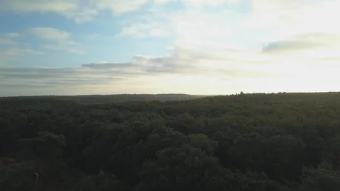 Woods at sunrise in denmark 動画素材 125631995
