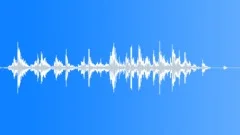 Woods trees kids rundown Sound Effect