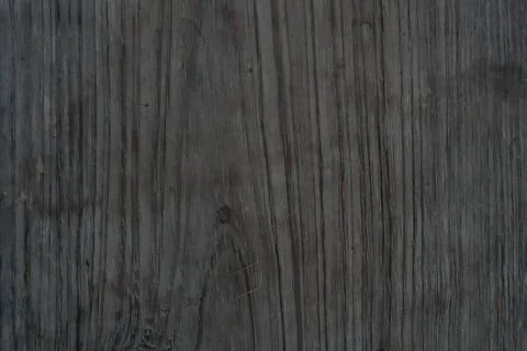 Woods wallpapers 스톡 사진