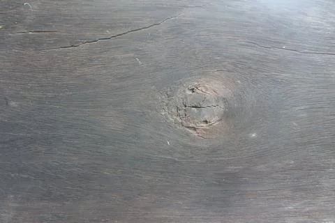 Woods wallpapers 스톡 사진