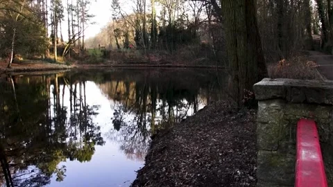 Woods, water reflection, lake, Berlin, wedding, Germany Stockbeeldmateriaal 332684994