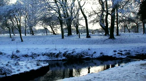 Woods in the winter snow 2 Video stock 597823