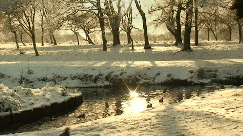 Woods in the winter snow 4 Video stock 597976