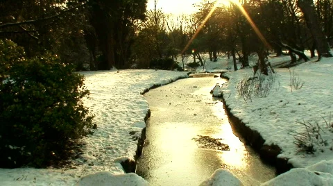 Woods in the winter snow 8 Stock Footage 598560
