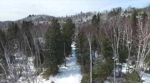 Woods Winter Trail Drone Stock Footage 64550128