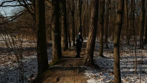 Woods2 Stock Footage 168944953