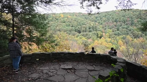 WoodsHD03 Stock Footage 168375861