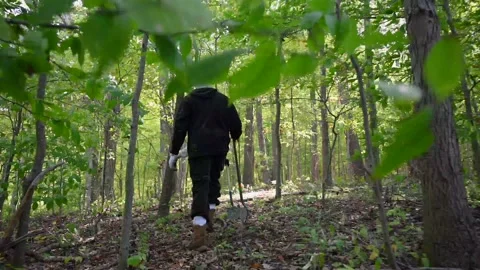 WoodsHD15 Stock Footage 168375874