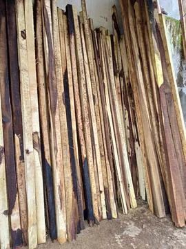 Woodslicing Stock Photos