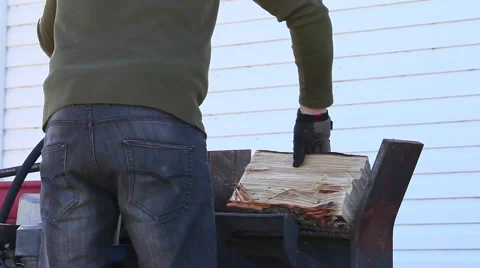 Woodsplitter splitting logs Stock Footage 49732804