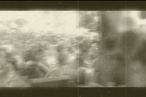 Woodstock Video stock 501170
