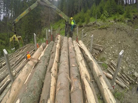Woodwork industry loading logs with crane on a truck - point of view shot Video stock 81008594