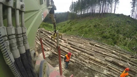 Woodwork industry loading logs with crane on a truck - point of view shot 動画素材 81010610