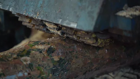 Woodwork machinery processing the huge tree log on the manufacturing line Stock Footage 243817616
